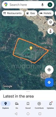 Pahang Jerantut Mukim Pedah Agricultural Land Free Hold 2
