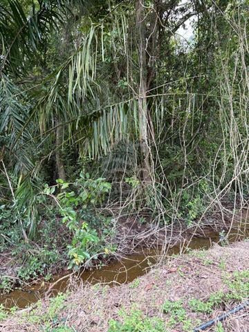 For sale|2 lot tanah pertanian bersambung|Kuala Sungai Baru, Melaka 1