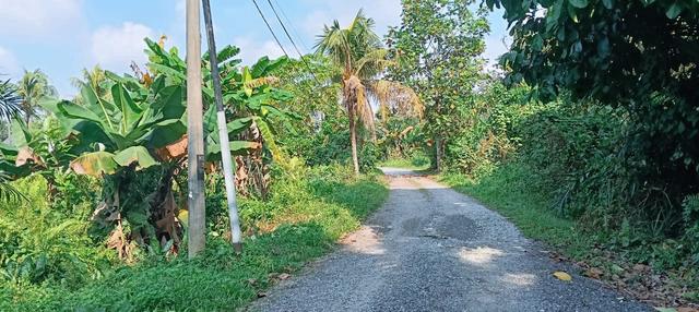 Agriculture Land/Tanah Pertanian Sungai Kandis Klang Shah Alam 1