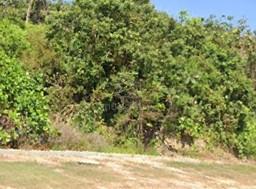 75 acre JV Land Sepang, Bandar Baru Salak Tinggi, KLIA 1