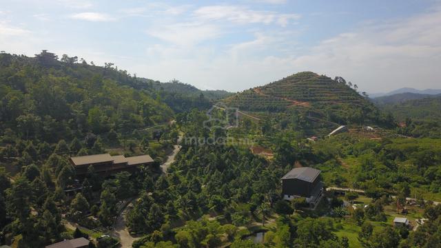 Freehold Homestead Land for Sale 5