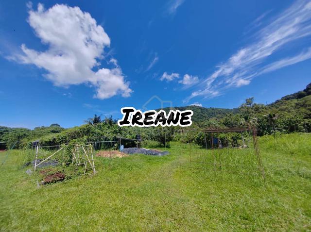 Balik Pulau Freehold Flat Land For Sale 1