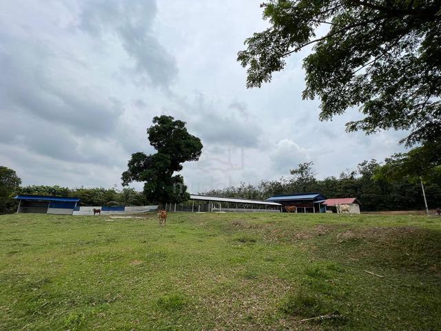 TANAH 5.7 EKAR FREEHOLD AGRO FARM (Siap Operasi)| GERAN INDIVIDU 1