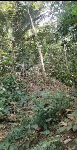 Tanah Cantek 1