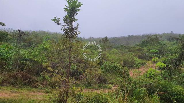 Lot Tanah Di Naka Untuk Di jual 4