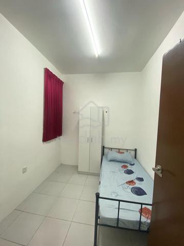 malau 1