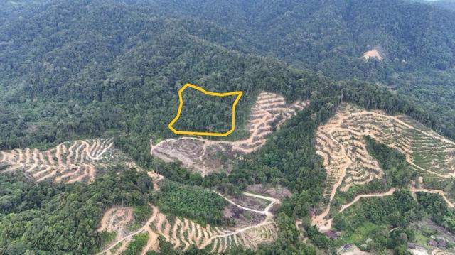 NT Land | 15.5 acres | Agricultural | Kg Mandalipau| Papar | 1