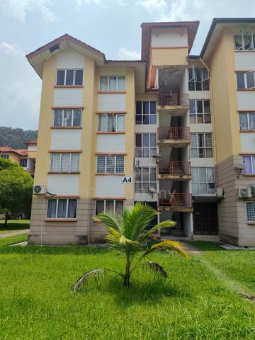 Damiana Apartment 1