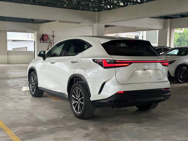 *Sunroof / 360 Cam / Black Interior* Lexus NX250 - 5
