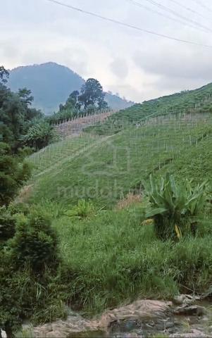Land For Sale In Bandar Genting  1