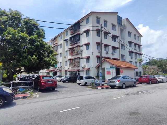 Taman Balik Pulau 1