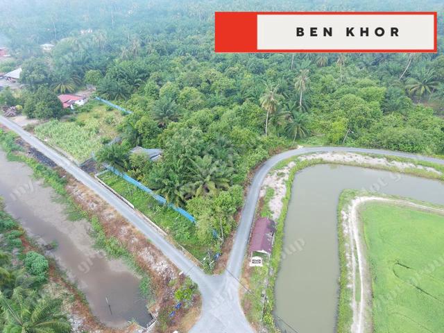 3.65 Acres | Agricultural Land | Selinsing | Kerian | PERAK 1