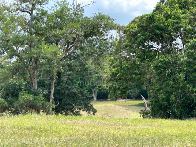 (8880SQFT) Residential Bungalow land, Staffield Country Resort, Mantin 3