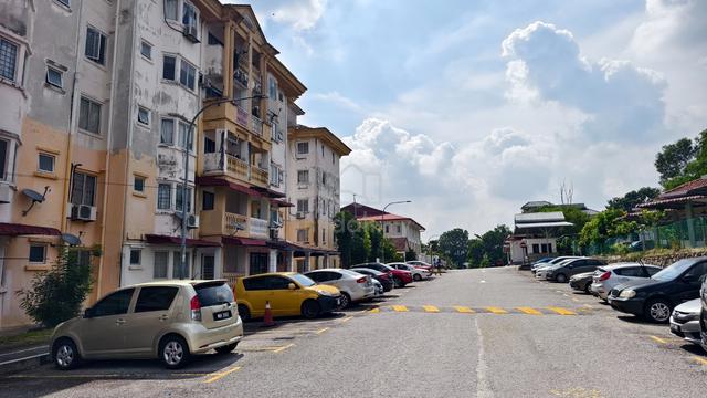 Palma Perak 1