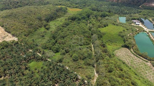 31 Acres Agricultural Land Titi Jelebu Kuala Klawang 1