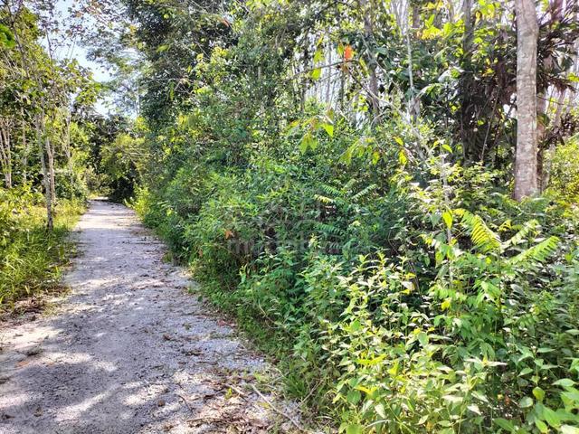 tanah kebun getah  1