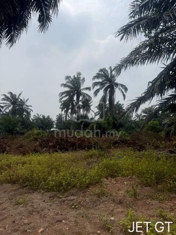 Agriculture Land Kuala Selangor Jeram near Main Road 1