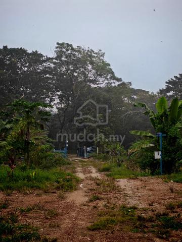 tanah kebun di Tampin 1
