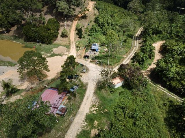 Papar Durian Farm | Musang King, Black Thorn, Tekka 1