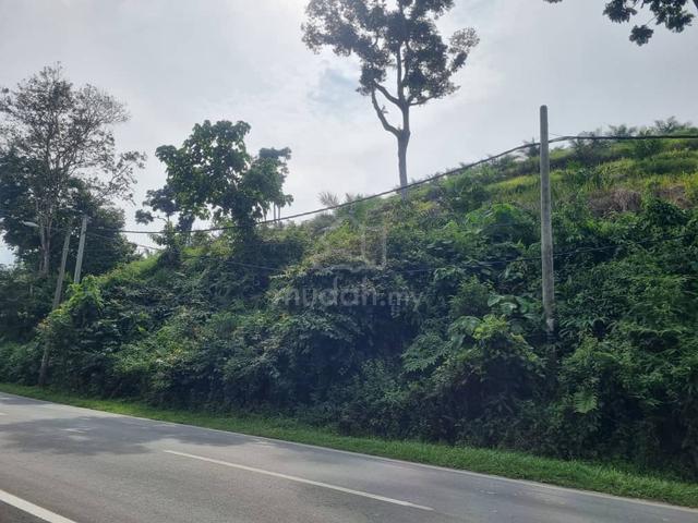 Tanah 28 Ekar di Redang Panjang Kawasan batu Perak untuk dijual 4