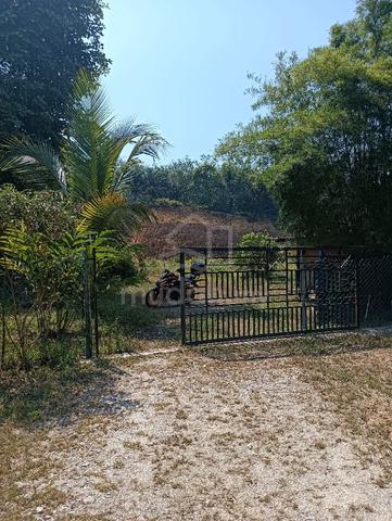 Tanah Dusun Buah - Buahan  1
