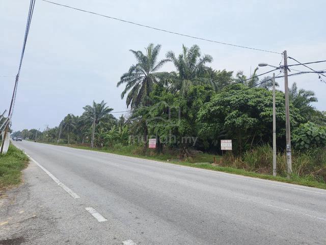 Selangor Kuala Langat Morib / Kelanang 3.11 acres Agri Land (Oil Palm) 3