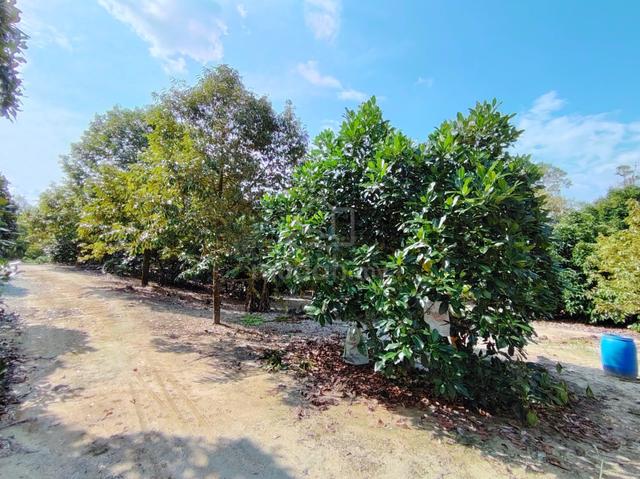 Mantin, Seremban, Negeri Sembilan, Mantin Dalam 4.8 Arce Agriculture L 1