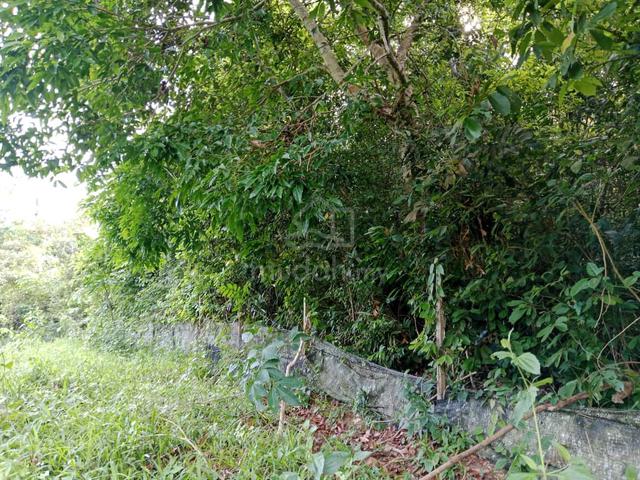 Tanah kebun murah 1.8ekar buat investment Talang 1