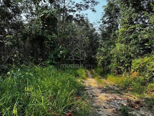 Agricultural Land in Rawang ๐ฟ BUMI๐ Rawang 1