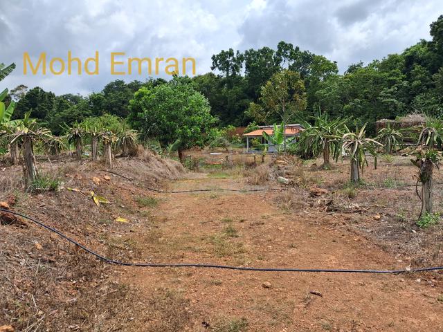 2.5 Ekar Tanah Tepi Jalan Pintas Teluk Pelanduk, Pasir Panjang, Port D 1