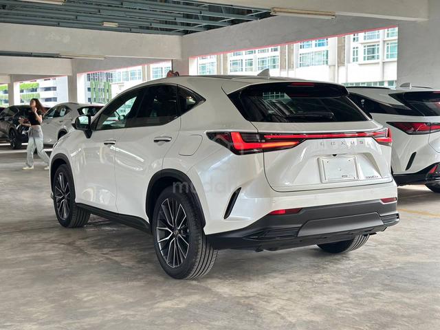 *Grade4.5/Sunroof* 2023 Lexus NX 250 Version L - 5