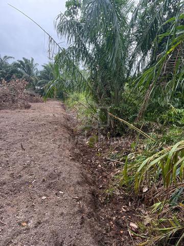 For Sale - Tanah Bangunan Ayer Hitam Johor/International lot 1
