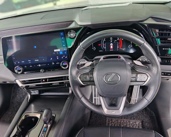 2024 Lexus RX350 2.4 F SPORT (A) - 5