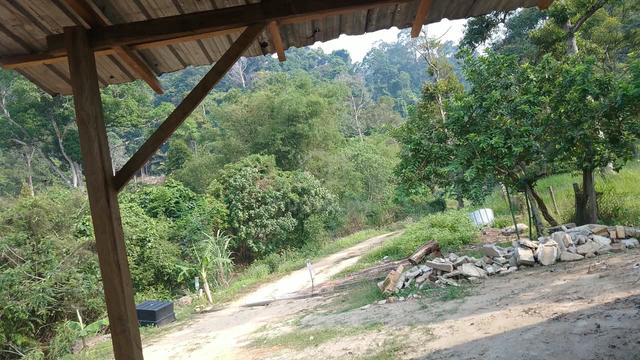 Lot Tanah Banglo Kg Sura Hujung Untuk Dijual Area Dungun 1
