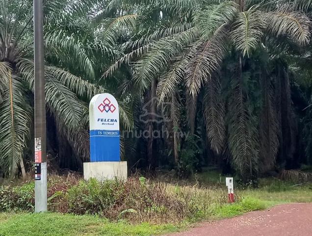 Agriculture Land for Sale 1