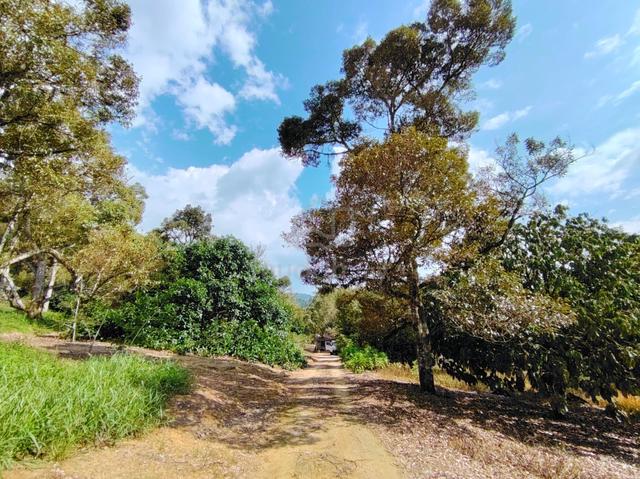Pekan Mantin, Seremban, Negeri Sembilan, Mantin Dalam 5 Arce Agri Land 1