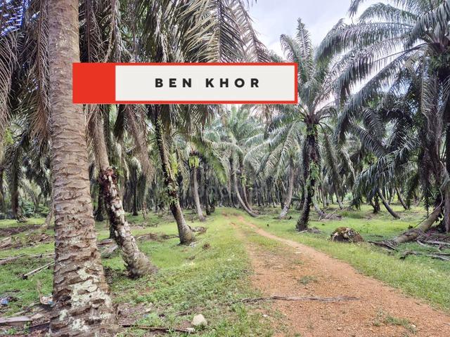 10.293 Acres | 2 Reserved Road | Agricultural Land |Selama | PERAK 1