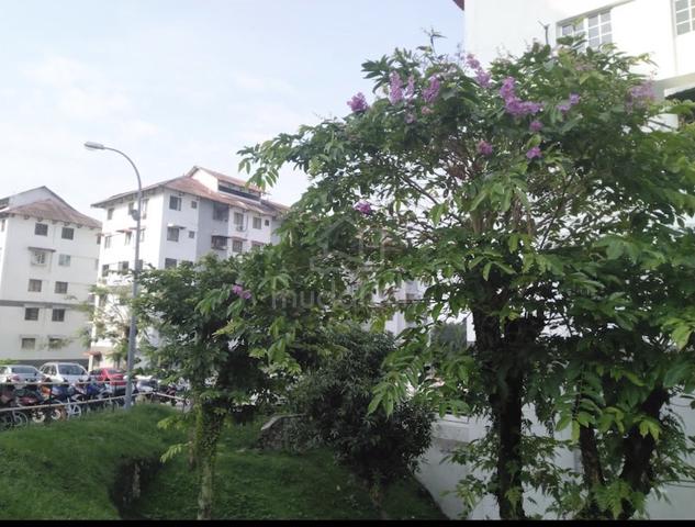 Segar Apartments 1