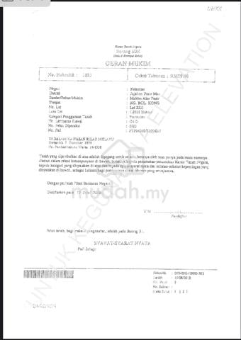 Lot pertanian untuk dijual di Pasir Mas 1