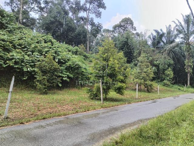 Cheaper property for sale at taiping town 1