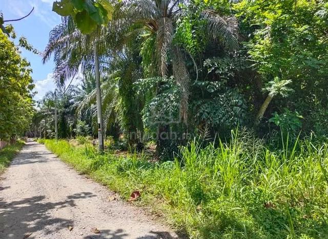 5 acres Agricutural Land Nibong Tebal Near to parit buntar for sale 1