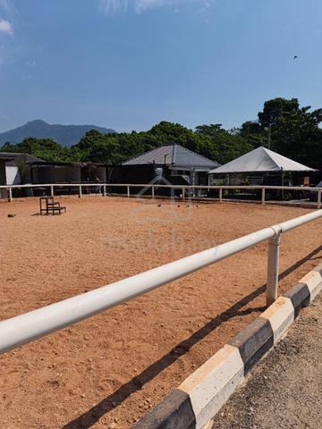 Countryside Horse Stables Farmstay FOR SALES at Balik Pulau, Penang 3