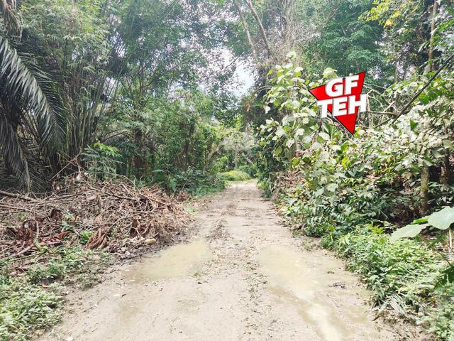 2.60 Acres Agricultural Flat Land | Junjong | Kedah k 1
