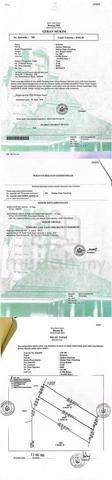 Tanah Pertanian di Pulai Chondong Untuk Dijual Segera 1
