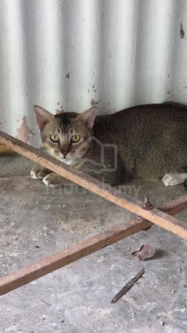 Carousel Image