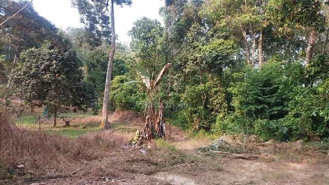 Tanah Untuk Dijual - Johol Negeri sembilan 1