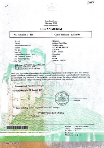 2 Lot Tanah 2 Geran Keluasan 6.25 Ekar (semua sekali) 1