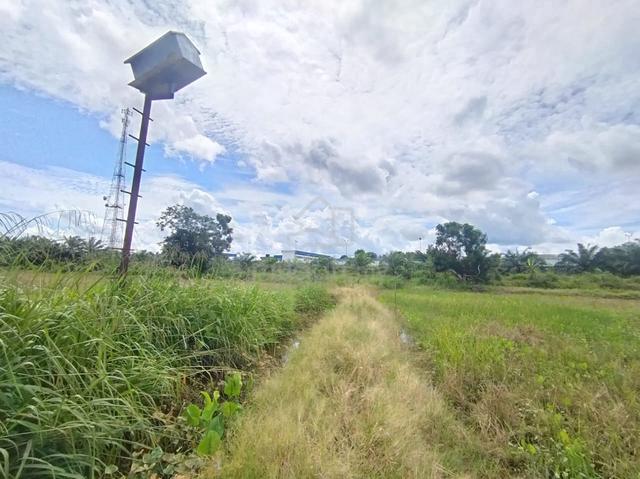 Tanah Sawah Mukim Ganchong, Pekan. 2