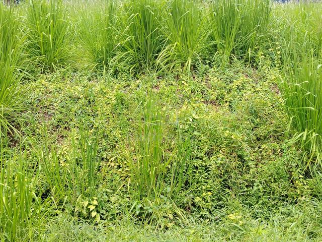 JLN BESAR ROAD FRONTAGE NON BUMI💕5,400sf INTERMEDIATE LAND BKT JANA 1