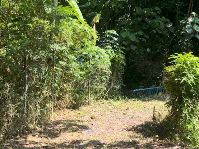 RM1.5M n 1 ACRE TANAH SUNGAI PENCHALA ADA SUNGAI MALAY RESERVE 1